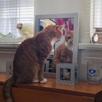 tanner2660's profile picture. 