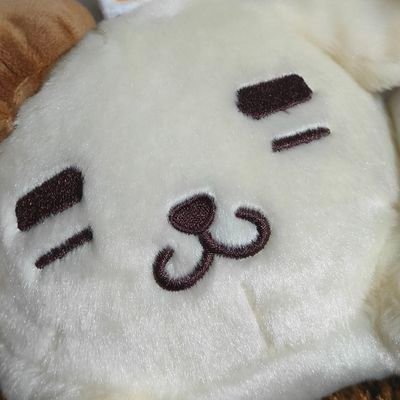 アマチュアコントラバス弾き/オールド5弦/Rubner4弦
アマオケ 映画 MCU プロレス 聖飢魔II
劇団四季/Cats/オペラ座の怪人/JCS ガンプラ/Hottoys/ ぐでたま
フォロー・リムーブはご自由にどうぞ。
