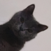 noname (@littleowlniu) Twitter profile photo noname (@littleowlniu) Twitter profile photo