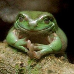 Tienes todo el poder y la magia dentro de ti para lograr lo que quieres.