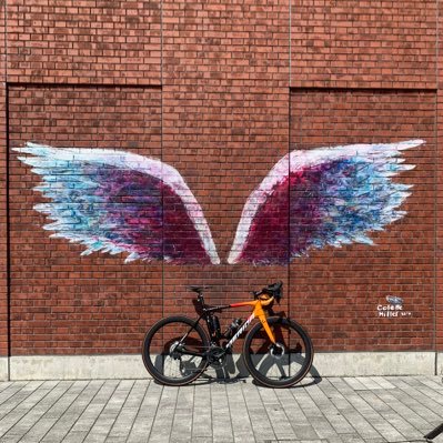 2021/07からロードバイク生活復活して、近所をゆるポタしてます。相棒はMeridaScultura4000とREACTO Team。いろんな方の自転車見るのが好きです。ほぼ自転車関連の呟きですが、たまに別の呟きもします。無言フォローしてすみません。無言フォローして頂くのは大歓迎です。