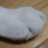 ひよのアイコン