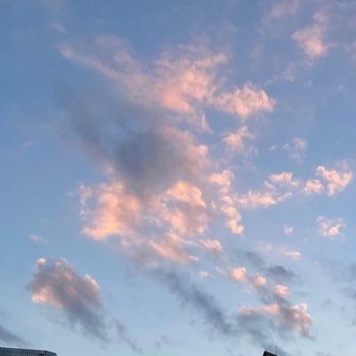 svtrmusu's profile picture. 圧倒的読み垢 公式B済 20↑ 英数字･界隈理解⭕️ 🍎 フォロワー様は書き手様です 🥚 🐇🍊