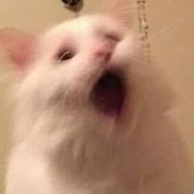 jil_dpfl's profile picture. 영원한사랑! ❤️‍🔥