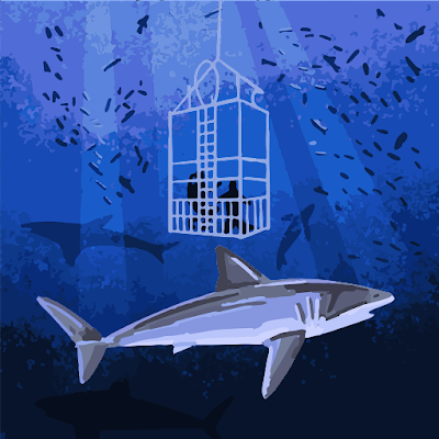 thnakr_ciw's profile picture. 