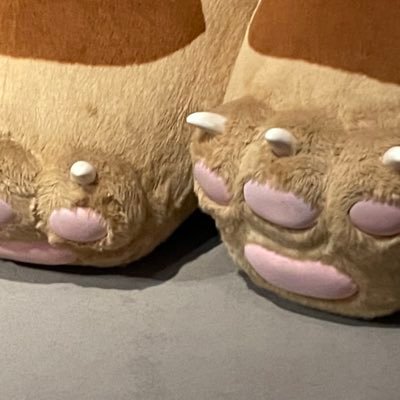 無言フォロー失礼します。SD、DD、ブライス、リカちゃん、tinybetsyと幅広く人形をお迎えしてます。お友達探しているのでお気軽にお声掛けください。