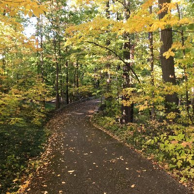 pcumpson1's profile picture. 