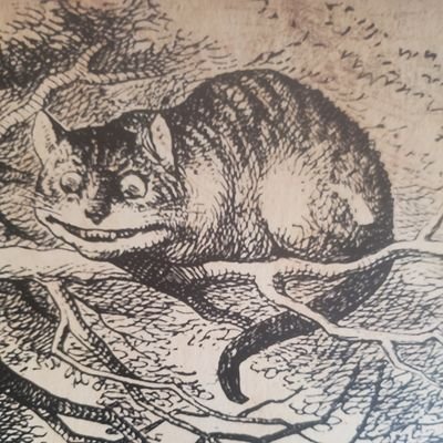 MTF_Trades27's profile picture. Markets