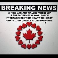 Kay-C (@onlythegovtlies) 's Twitter Profile Photo Kay-C (@onlythegovtlies) 's Twitter Profile Photo
