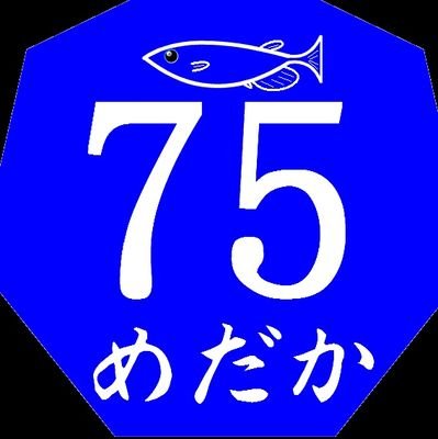 2023年から東海エリアのイベントにて改良めだか販売予定/愛知県/名古屋市/知多半島/YouTube