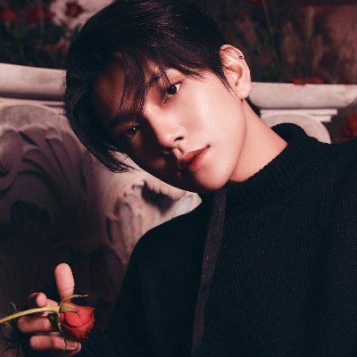 fan account for seventeen's joshua hong #조슈아 #JOSHUA 🖤 pics + vids (credits to the owners! she/her)