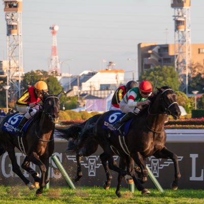 ImOnetailedfox's profile picture. 惟神 Lician far gesund gemynd.
DHU→Modelingbros inc. Environment Artist,Photogrammetry, VP 
参加作品:どうする家康/劇場版 沈黙の艦隊/翔んで埼玉/怪獣8号OP etc. 
出資馬:ライネリーベ