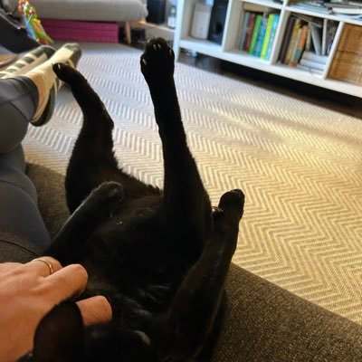 killyersen's profile picture. 