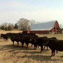 Ben Maples - @msfangus - Twitter