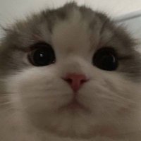 πβ¨Daniβ¨π β’_free tag ποΈβ‘ (@jan2023wins) 's Twitter Profile