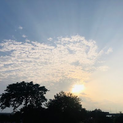 Muhamma97190378's profile picture. 