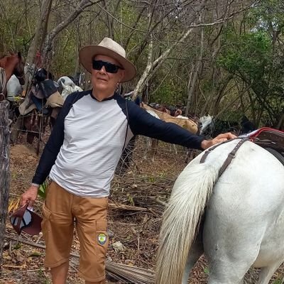 Adoro cavalos e cachorros, sou
sincero ☆ Sou do mato; mais tenho caráter e vergonha na cara ..e você?🐎