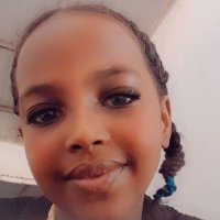 Ibrahim Omer (@ibrahim12586) 's Twitter Profile