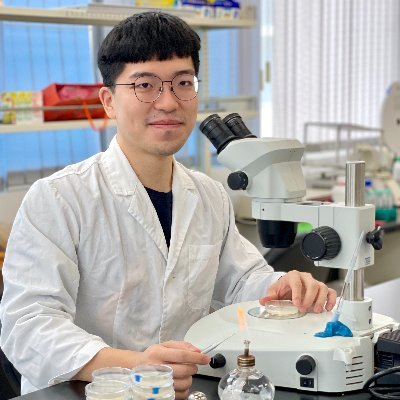 Aging scientist from Allen Hsu Lab in National Yang Ming Chiao Tung university (NYCU), 🇹🇼 Taiwan. Studies how #Celegans age! 🪱