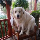 Michael  seitz - @Michael76133840 - Twitter