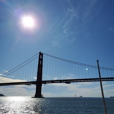 strategythinks's profile picture. 