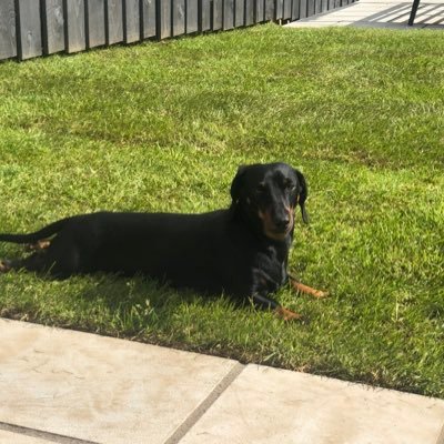 kyleoneill88's profile picture. 