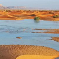 ✯ فيصل (@fmkll1) 's Twitter Profile Photo ✯ فيصل (@fmkll1) 's Twitter Profile Photo
