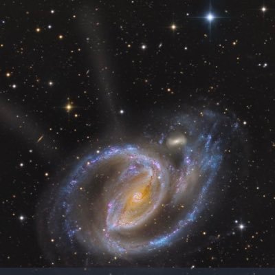 Befair027880333's profile picture. Gusto por las Ciencias y las Artes, disfrutando la sabiduría de la cuarta edad, anti Morena y sus depredadores. Nueva Cuenta, por defender a la Patria.