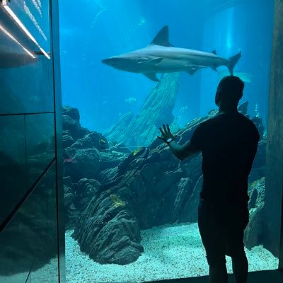 TheCodMachine's profile picture. Rainbow Six: Siege player | https://t.co/FpvzY4qAGb #g2army