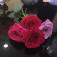 منيره محمد (@moneira1387) 's Twitter Profile