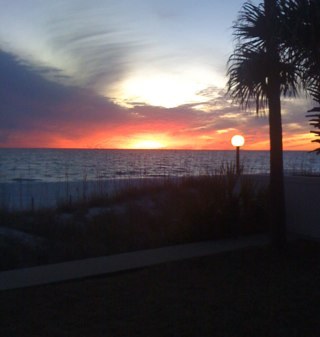 carol_prewitt's profile picture. 