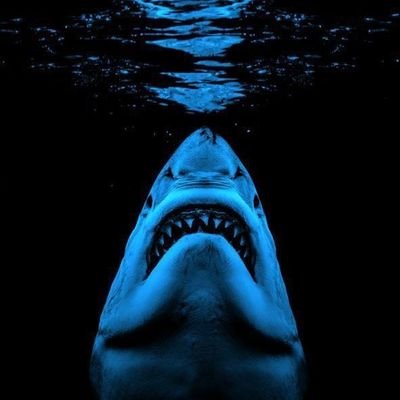 basedwhiteshark's profile picture. 🇮🇹 | Nor/mal | Ballo la fresca | path noticer | Ausländer raus -🗿📻💦🧯🐿