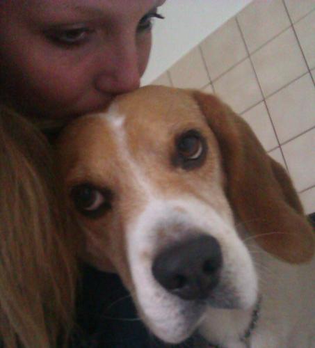 ♡ Robert