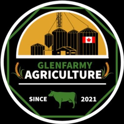 glenfarmy Profile Picture