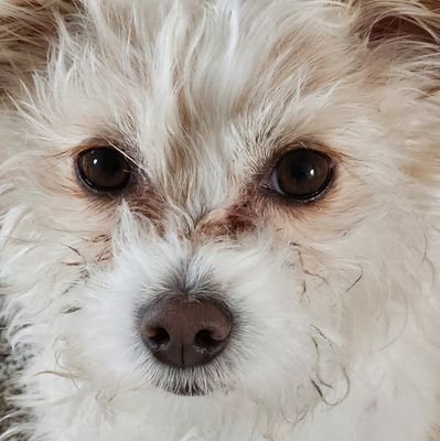 SethTemko's profile picture. 