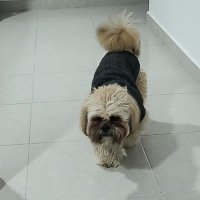 Omi (@omirexcr) 's Twitter Profile Photo Omi (@omirexcr) 's Twitter Profile Photo