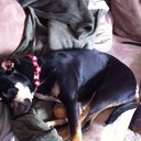 Kayla Deaton - @kdeaton0805 - Twitter