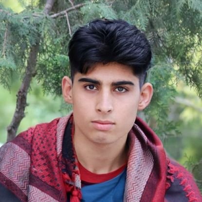 MohammadiMoh6's profile picture. 