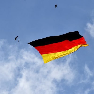 Felcon03's profile picture. 🇩🇪/🇺🇸                                                        🎗️