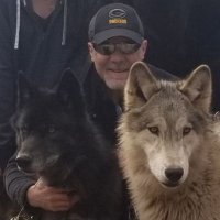 DB (@dennisbolle) 's Twitter Profile