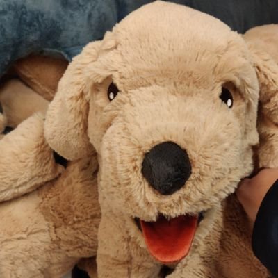 Ramagar1989's profile picture. 