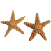 Hawaii Beaches (@islandsofhawaii) Twitter profile photo Hawaii Beaches (@islandsofhawaii) Twitter profile photo