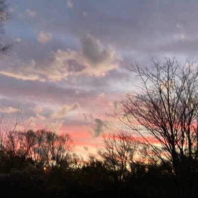 CynthFlo's profile picture. flowing down to the sea💜🌞