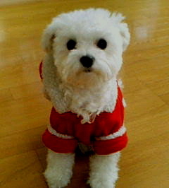 saaya_wst88's profile picture. Born in Japan,raised in TOKYO🇯🇵 l💿｜chatting👩‍👩‍👧‍👧｜traveling✈️｜photo📷