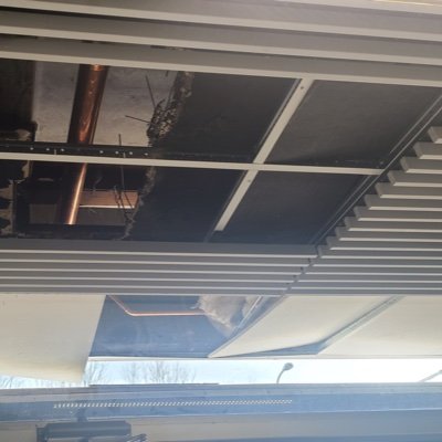 TravisK41524750's profile picture. 