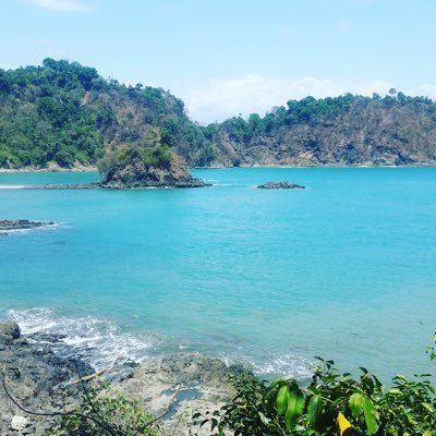 Waimoku4's profile picture. 