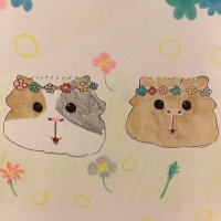 たまご🥚 (@chikoi410) 's Twitter Profile Photo たまご🥚 (@chikoi410) 's Twitter Profile Photo