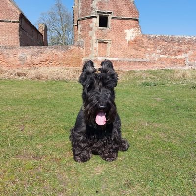 t1mb8's profile picture. 