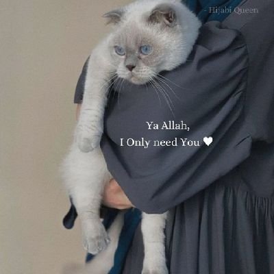 there's always goodness behind every situation, Alhamdulillah ..🤍