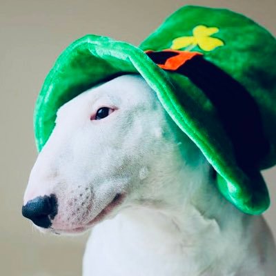 IrishGoat81 Profile Picture